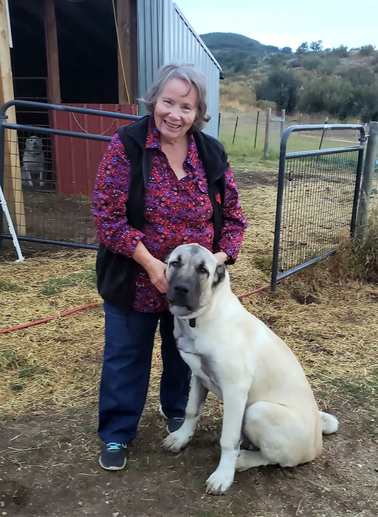 Jo Stanko and stock dog